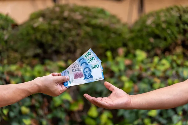 Hand Holding Cash Street Some Foliage Background Paymant Mexican Pesos — Stock fotografie