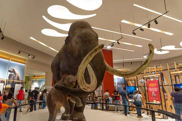 Mamut Müzesi, Santa Lucia Meksika 