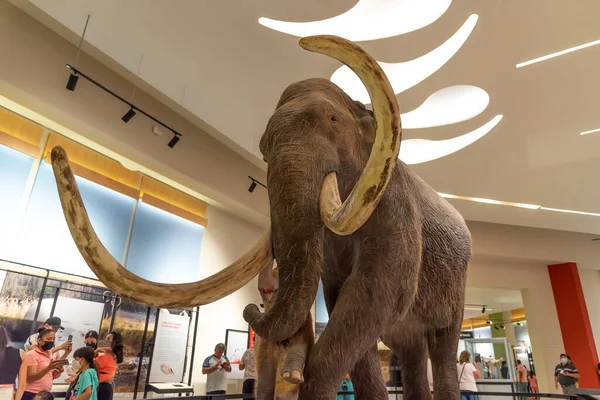 Mamut Müzesi, Santa Lucia Meksika - Nisan 2022 