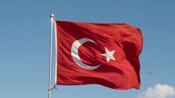 Великий Турецький Прапор Який Розмахував Блакитним Небом Літньому Сонячному Ранку — стокове відео