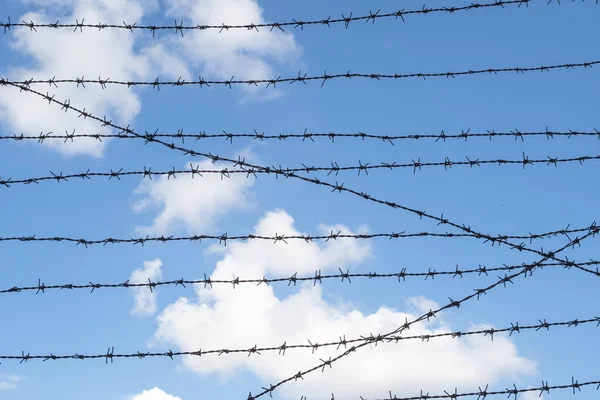 Linhas Arame Farpado Contra Céu Azul Imagem Conceito Sobre Liberdade — Fotografia de Stock