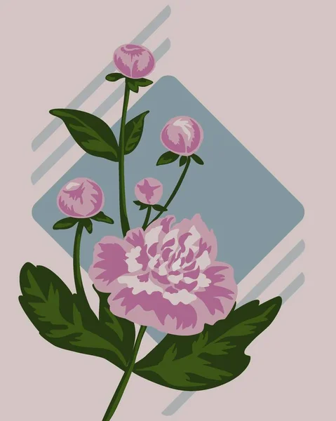 Bouquet Pink Peonies — Stock Photo, Image