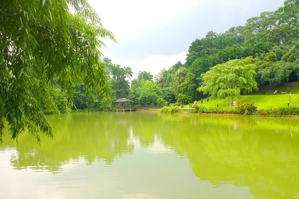 Lakeside görünümü — Stok fotoğraf