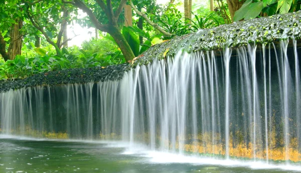 Flowing water at Batanic Gardens — Stock Photo, Image