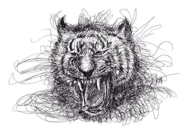 Simple Easy Scribble Tiger Drawing — Stock Photo, Image