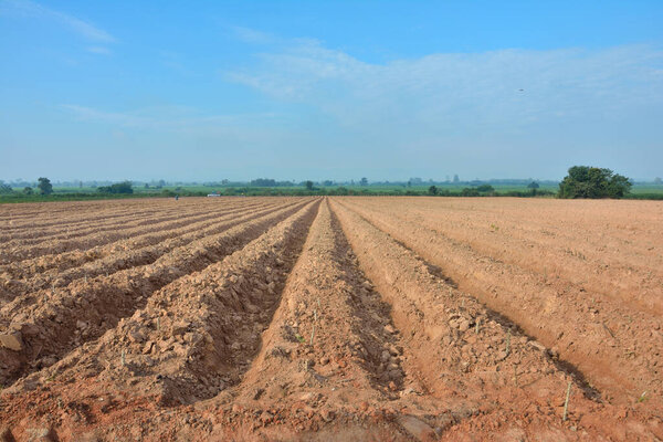 Lines of soil made by tractors has blue sky and mountain background ,agriculture in Thailand