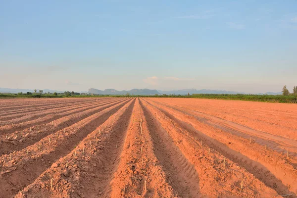 Traktörler Tarafından Yapılan Toprak Hatlarının Mavi Gökyüzü Dağ Arkaplanı Vardır — Stok fotoğraf