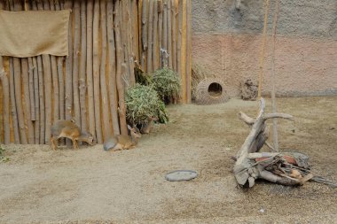 Poznan şehrinde ikamet