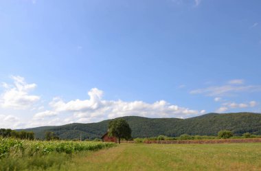 Kırsal manzara - tarlalar arasında bir ev