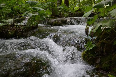 Plitvice göllerinin muhteşem manzaraları