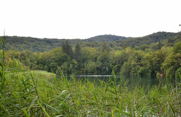 プリトヴィツェ湖の素晴らしい風景 — ストック写真