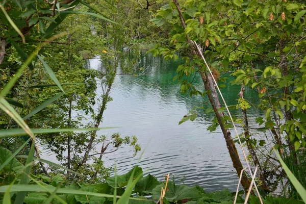 Paesaggi Favolosi Dei Laghi Plitvice — Foto Stock