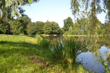 Pszczyna 'daki Kale Parkı 