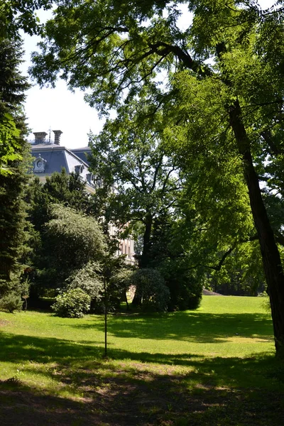 Beau Château Pszczyna — Photo