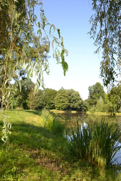 Schlosspark Pszczyna — Stockfoto