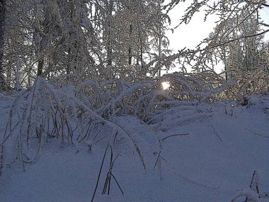 Kışın güzel çayır