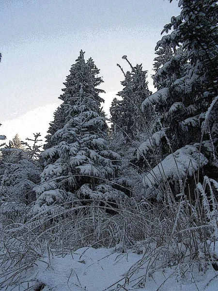 Montagne Magiche Inverno — Foto Stock