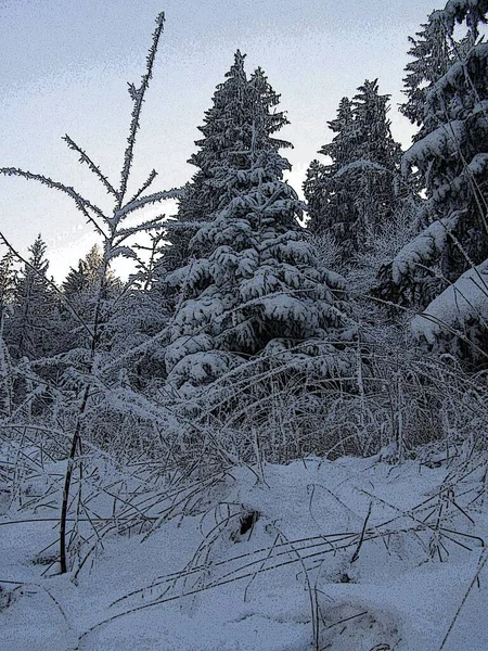 冬の魔法の山 — ストック写真