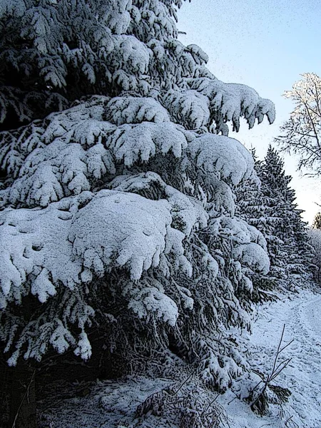 Montanhas Mágicas Inverno — Fotografia de Stock