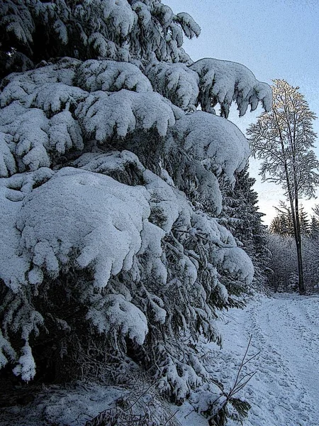 Montanhas Mágicas Inverno — Fotografia de Stock