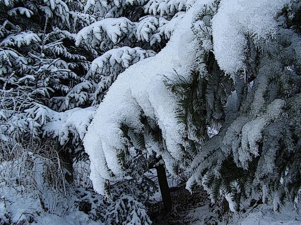 Montanhas Mágicas Inverno — Fotografia de Stock