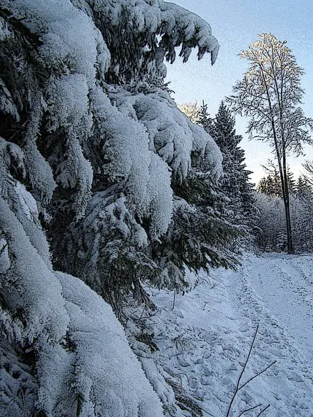 Montanhas Mágicas Inverno — Fotografia de Stock