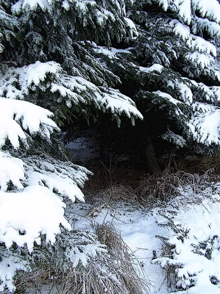 Magic Mountains Winter — Stock Photo, Image