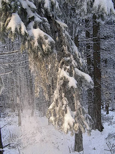 冬の魔法の山 — ストック写真