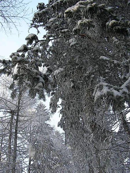 Montanhas Mágicas Inverno — Fotografia de Stock