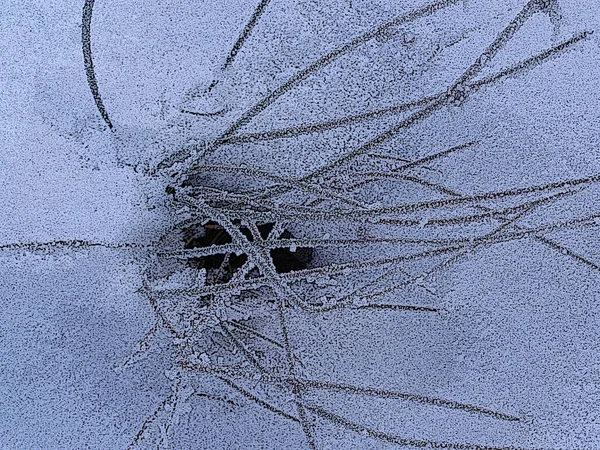 Красивый Луг Зимой — стоковое фото