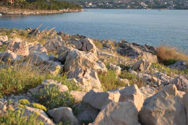 Сило Хорватский Прибрежный Город — стоковое фото