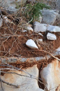 Silo - Hırvat kıyı kenti