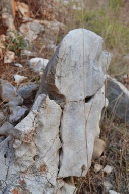 Silo - Hırvat kıyı kenti