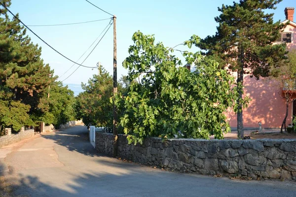 Silo - Hırvat kıyı kenti