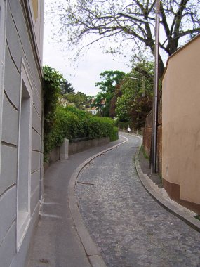 Viyana anıtlarının ve bahçelerinin resimleri