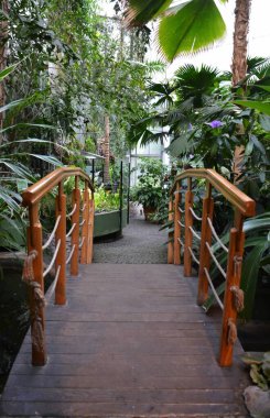 Tahta bankları ve bitkileri olan güzel bir bahçe.