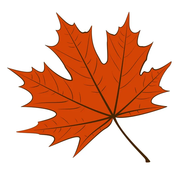 Red Maple Leaf — Stock Vector
