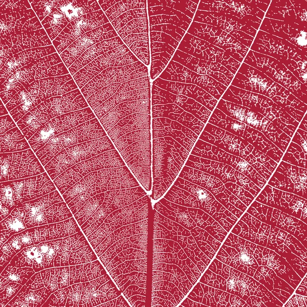 Fond de feuille rouge — Image vectorielle