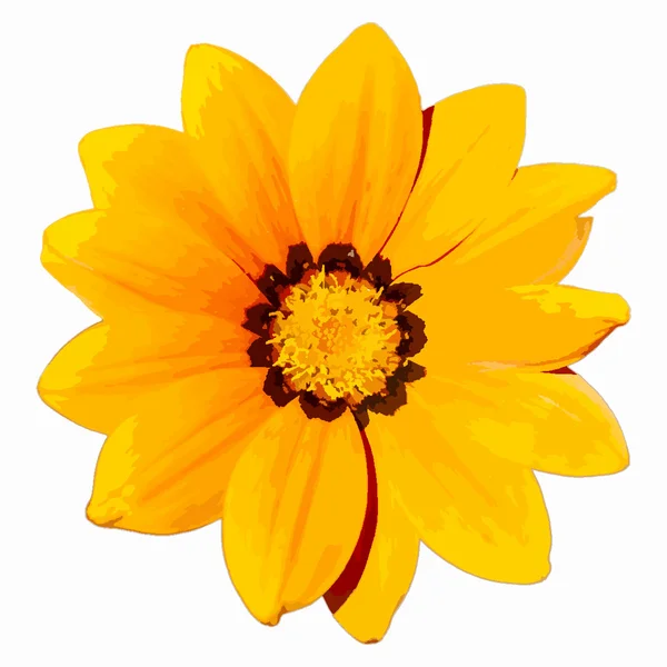 Tête de fleur jaune — Image vectorielle