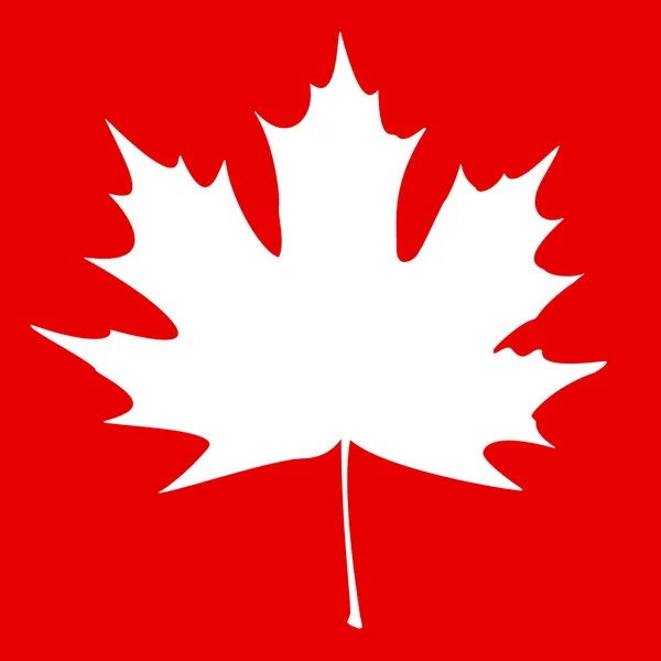 Maple Leaf fehér — Stock Vector