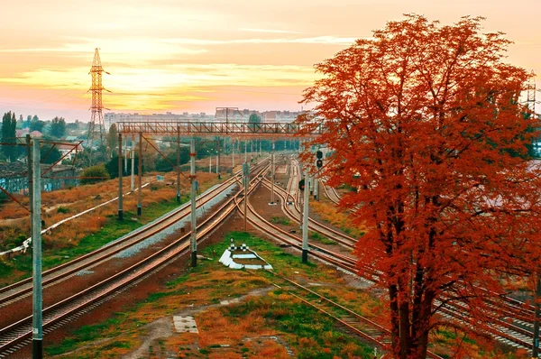 Gün batımında demiryolu — Stok fotoğraf