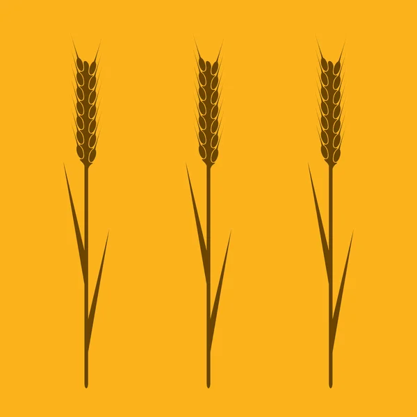 Le orecchie di grano — Vettoriale Stock