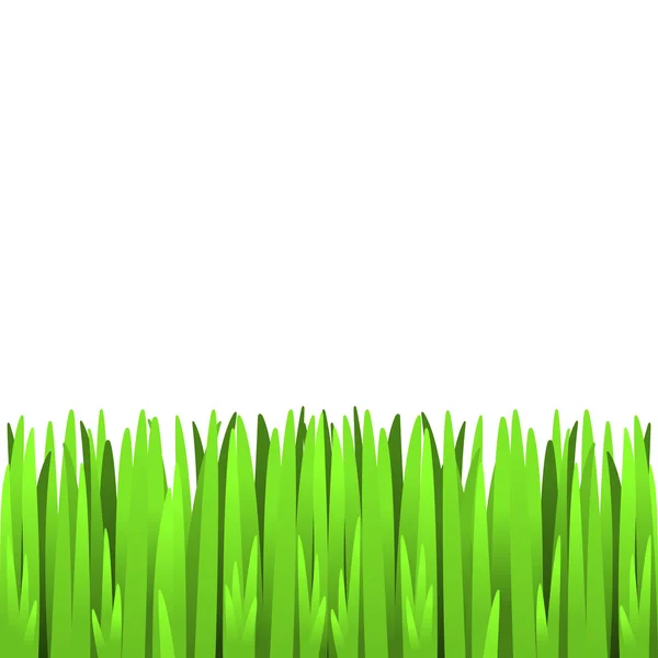 Herbe verte — Image vectorielle