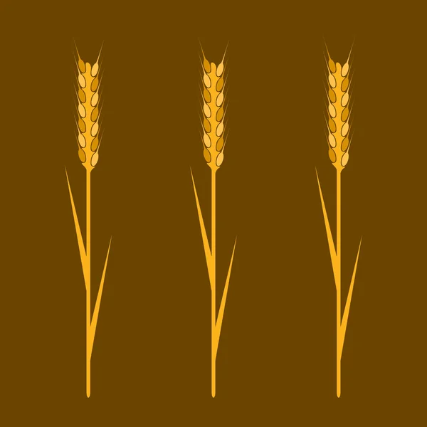 小麦元素 — 图库矢量图片