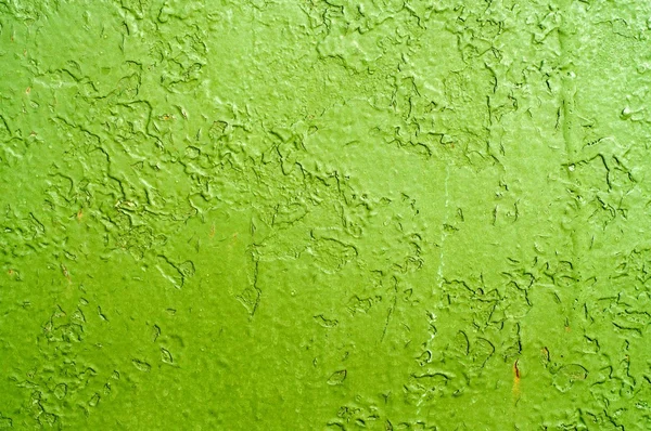 Grunge 绿色油漆 — 图库照片