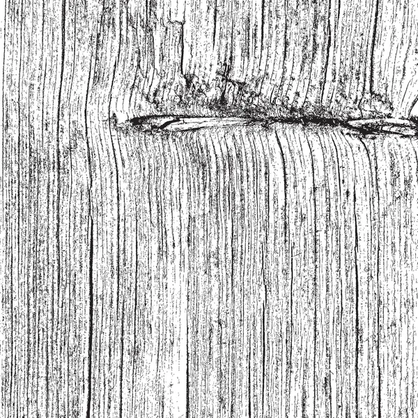 Texture en bois sec — Image vectorielle