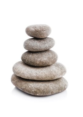 libros de whitwe negro