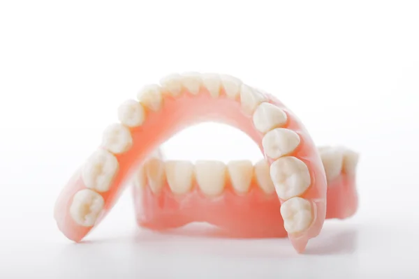 Denti di mascella — Foto Stock