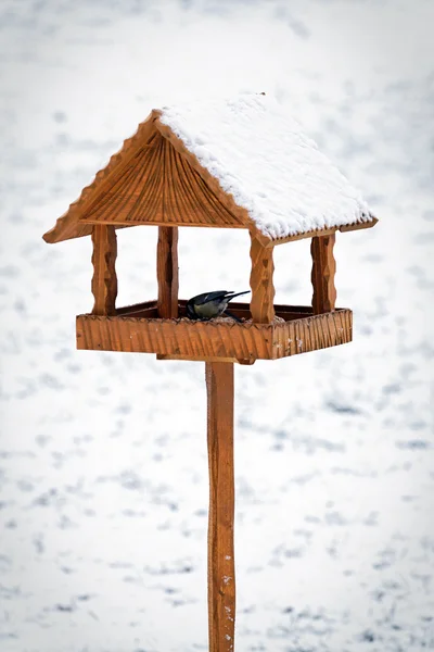 Birds in hand made animal feeder — Stock Photo, Image