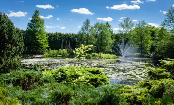 Garden park — Stock Photo, Image